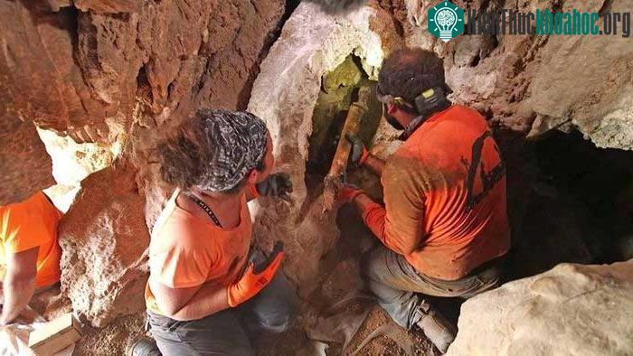 Các thanh kiếm được tìm thấy tại một hang động trong Khu bảo tồn thiên nhiên En Gedi, Israel.