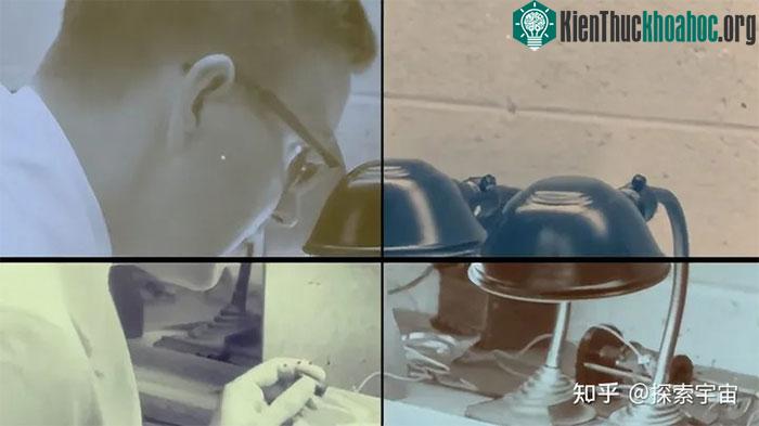 Liệu ý ức của chúng ta có thể truyền lại cho con cháu?
