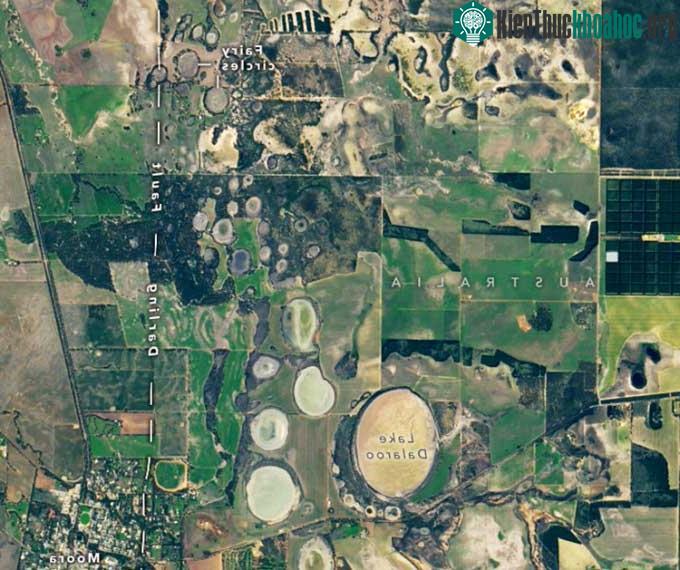 Vệ tinh Landsat 9 chụp ảnh các vòng tròn thần tiên gần thị trấn Moora, Australia.