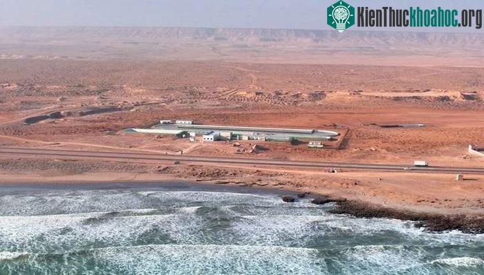 Địa điểm trồng tảo thử nghiệm của Brilliant Planet ở Akhfenir - Morocco.