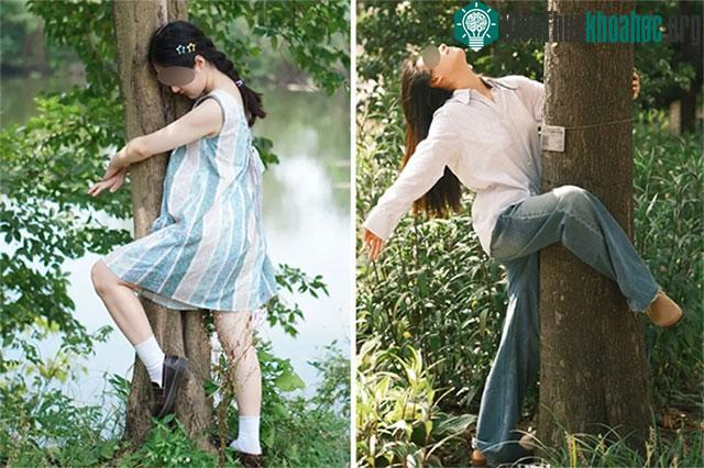 Ôm cây để giải tỏa căng thẳng, lo âu.