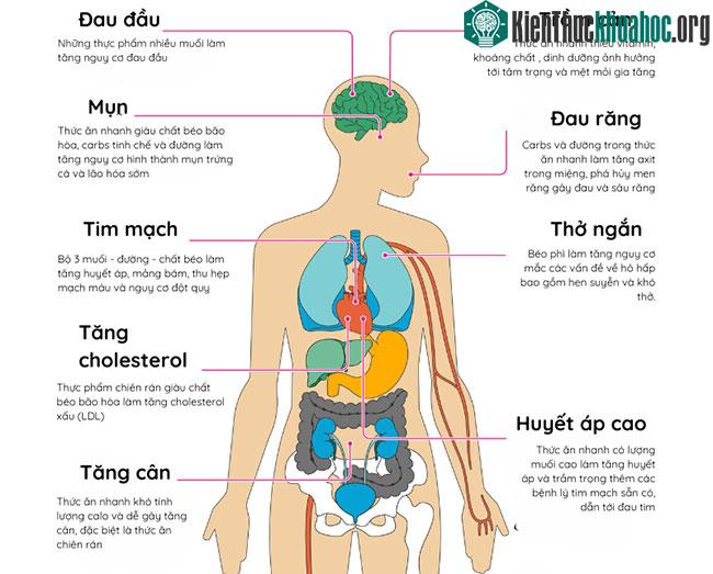 Top 8 bộ phận cơ thể bị "bào mòn" bởi thức ăn nhanh ảnh 0