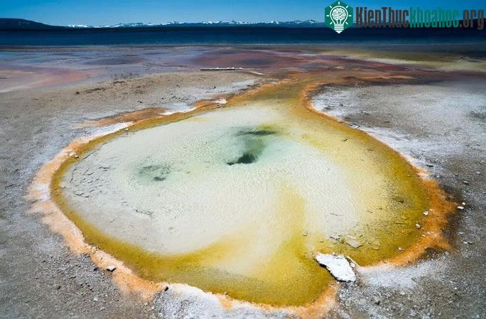 "Ngôi nhà" nước sôi của các vi sinh vật ở Công viên quốc gia Yellowstone (Mỹ)