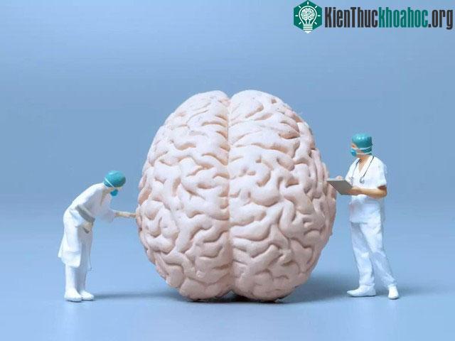 Học các kỹ năng mới có thể giúp "trẻ hóa" não bộ.