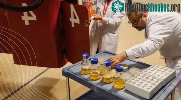 Các nhà khoa học đang làm một thí nghiệm với nấm