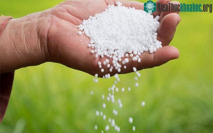 Ure là một trong những loại phân bón quan trọng trong lĩnh vực nông nghiệp.