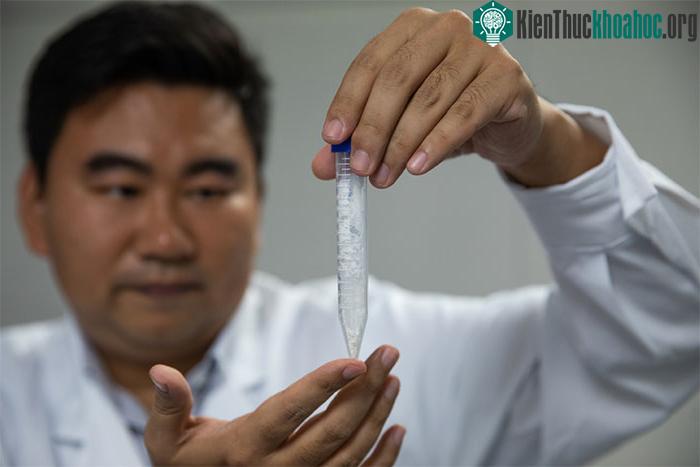 Quốc gia đầu tiên có thể biến CO2 thành tinh bột! ảnh 0