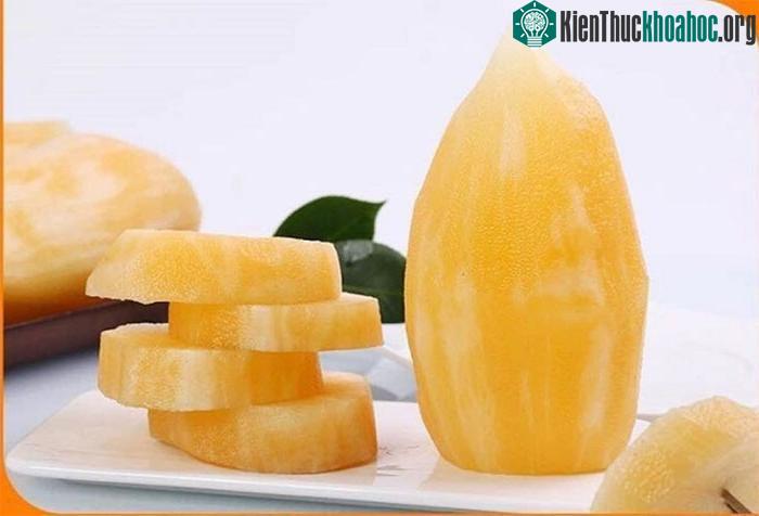 Sâm đất có thể ngăn ngừa và hỗ trợ điều trị bệnh loãng xương, đau nhức xương khớp.