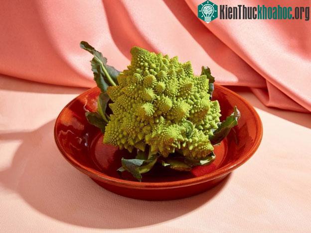 &nbsp;Bông cải xanh Romanesco rất tốt cho sức khỏe đường ruột.‏