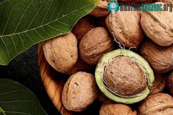 ‏Quả óc chó là một nguồn vitamin E tuyệt vời