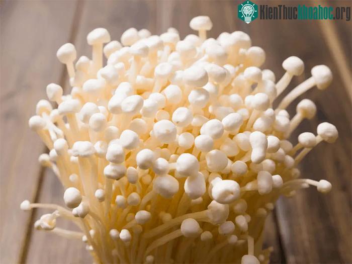 Nấm kim châm giúp cân bằng lượng đường trong máu