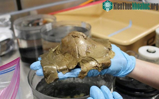 Vật thể bí ẩn này có màu vàng, với lớp vỏ ngoài mềm, mỏng như các mô trên da.
