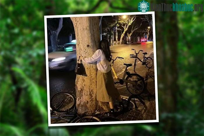 Một người phụ nữ Trung Quốc đang ôm gốc cây ven đường.
