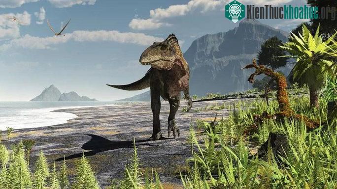 "Chân dung" Acrocanthosaurus