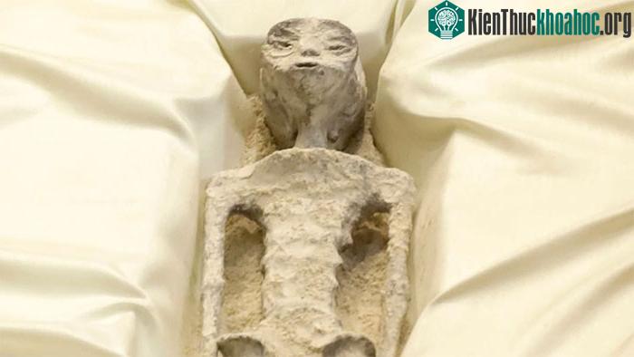 Hóa thạch 1000 năm được cho là của người ngoài hành tinh.