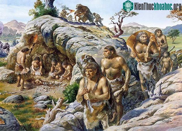 Con người cũng đã phát triển trí thông minh và khả năng sử dụng công cụ tiên tiến