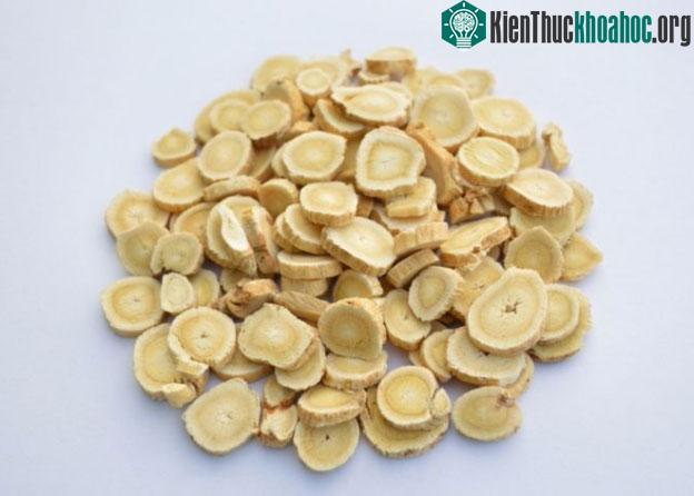Rễ cây hoàng kỳ phơi khô.