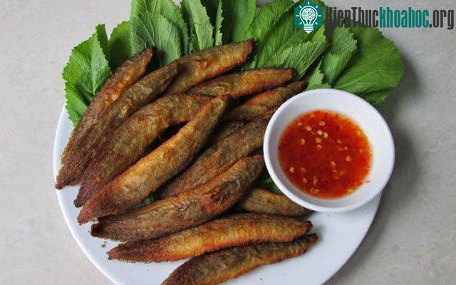 Cá chạch