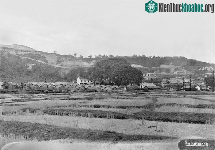 Nhà cửa đơn sơ với mái tranh, vách lá.
