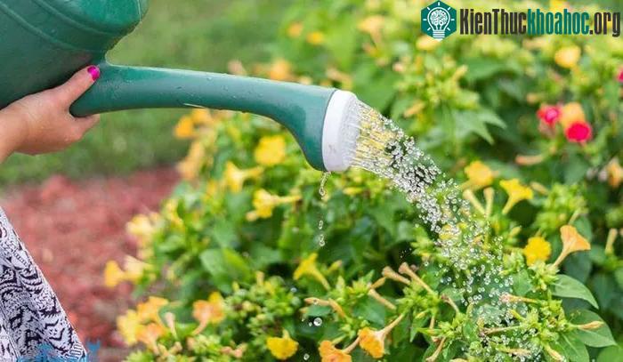 Chất thải độc hại là gì? Chất thải của thành phố có "vô dụng" như ta nghĩ? ảnh 1
