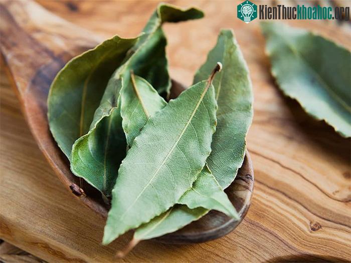Lá nguyệt quế là loại gia vị tốt cho hệ tiêu hóa, giúp giảm hội chứng ruột kích thích.