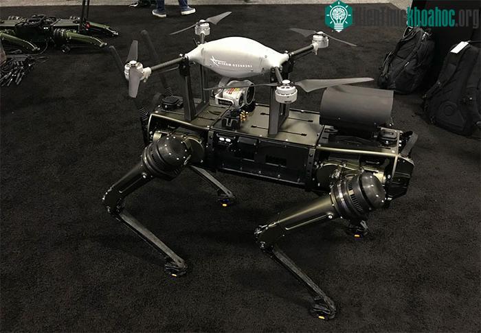 Chú chó robot của Ghost Robotics đem theo trên lưng drone Indago