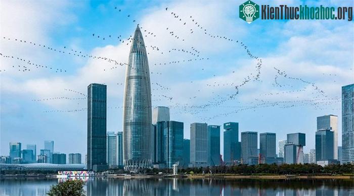Tác phẩm "Thiên đường thành phố" của Xiaoke Wang.
