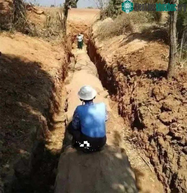 Cây gỗ hóa ngọc sánh ngang kim cương, giá 600 tỷ đồng ảnh 14