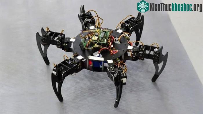Côn trùng robot