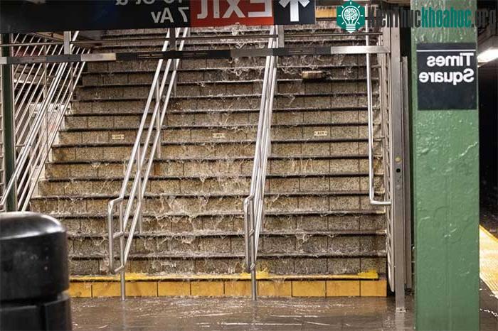 Quảng trường Thời đại vỡ đường ống gần 130 tuổi, khắp nơi ngập trong nước tạo nên cảnh tượng chưa từng có ảnh 2