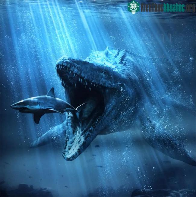 Mosasaurus