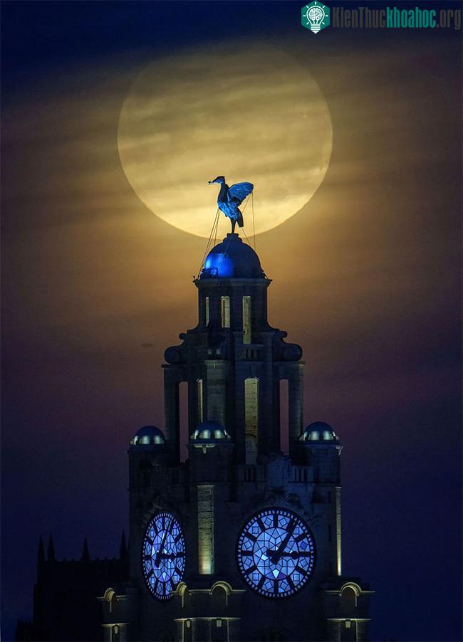 Mặt trăng phía sau Tòa nhà Royal Liver và tượng Liver Bird tại thành phố Liverpool, Anh