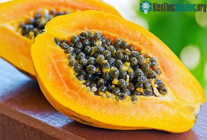 Hạt đu đủ có thể giúp tăng cường hệ thống miễn dịch.