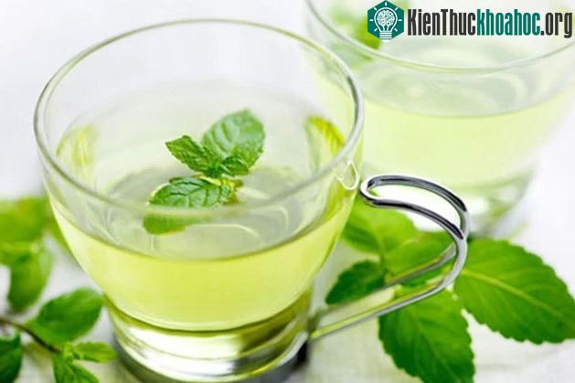 Trà húng chanh vừa thơm ngon lại trị ho hiệu quả.