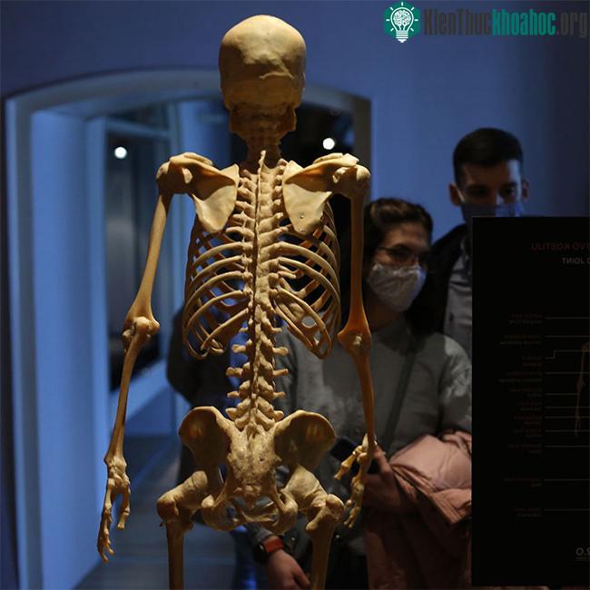 Số nguyên tố có thể được sử dụng để giao tiếp với trí thông minh ngoài Trái đất.