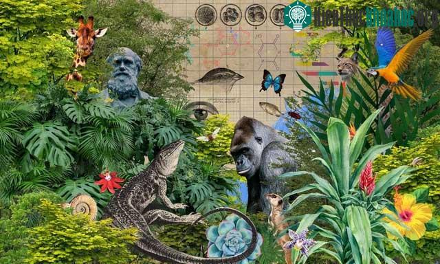 Sự phát triển của công nghệ gene có lẽ là đóng góp quan trọng nhất cho các nghiên cứu