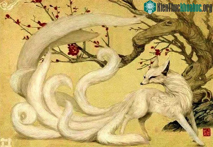 Cửu vĩ hồ.