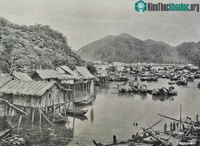 Phía biển, những xóm thuyền chài nằm nép vào núi đá trên vịnh Hạ Long.