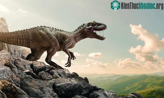 Môi trường và khí hậu Trái đất thời kỳ khủng long khác biệt như thế nào so với hiện nay? ảnh 3