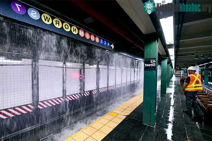 Tình trạng ngập nước tạo nên cảnh tượng hiếm thấy tại thành phố New York