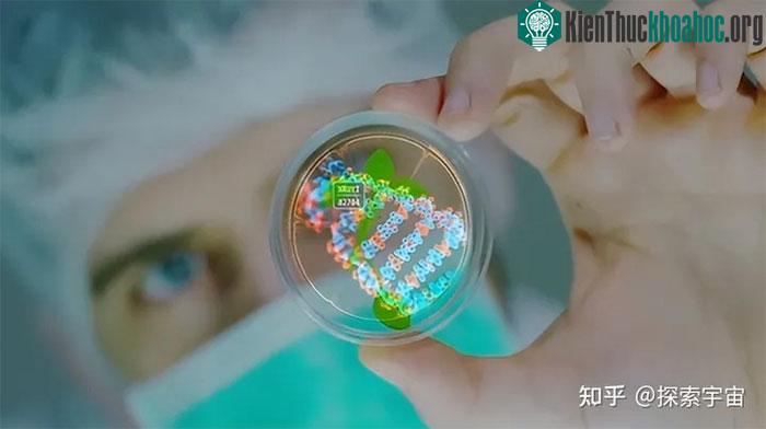 Trí nhớ có thể được di truyền? Thí nghiệm này đã chứng minh thuyết tiến hóa có thể không đúng! ảnh 3
