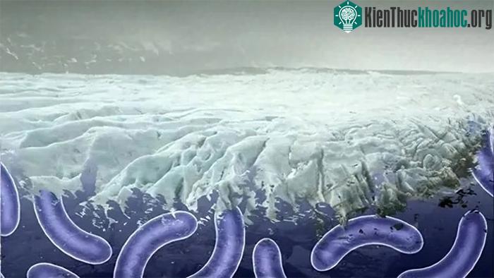 Hợp tác quốc tế có thể là chìa khóa để ngăn chặn nguy cơ lây lan virus tiềm ẩn.