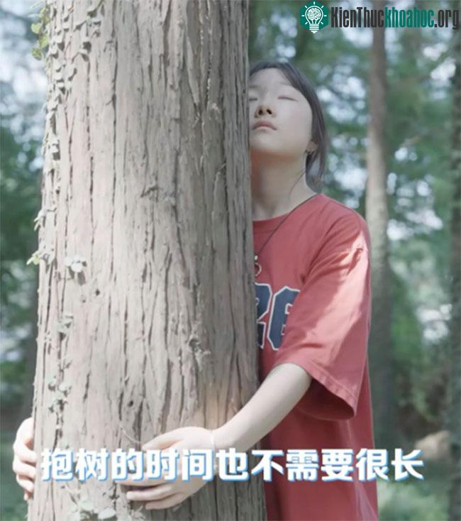 Người tham gia ôm cây có thể làm điều này từ vài phút, cho đến vài giờ miễn là thoải mái