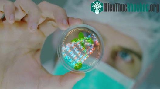 Các nhà khoa học tìm thấy dấu vết sửa đổi trong DNA: Liệu con người có phải là sản phẩm của "thiết kế"? ảnh 3
