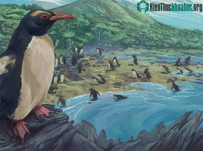 Bản đồ lục địa bí ẩn Zealandia - chìa khóa mở lịch sử vùng đất mất tích ảnh 3
