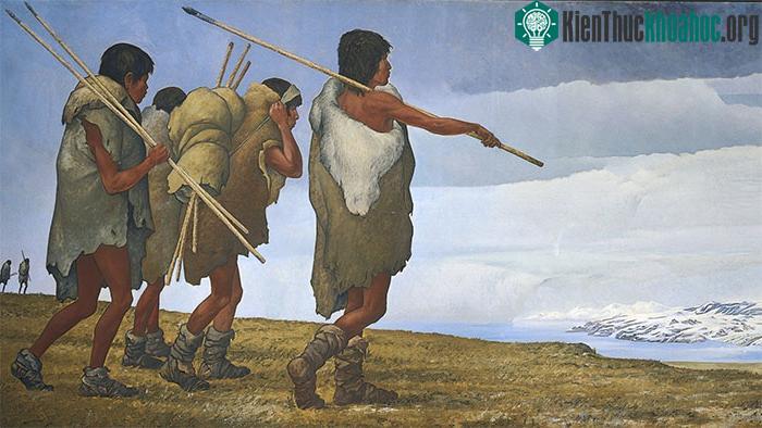 Vì ăn tạp, chúng ta có thể tiếp cận nhiều loại chất dinh dưỡng hơn.