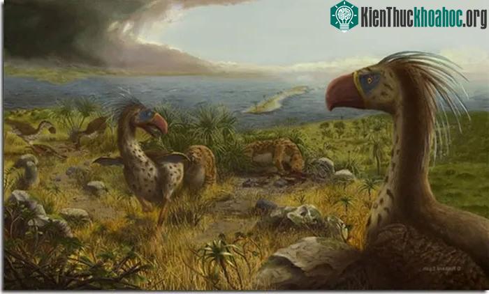 Phorusrhacos từng là kẻ khủng bố, ám ảnh cánh rừng và đồng cỏ ở Patagonia