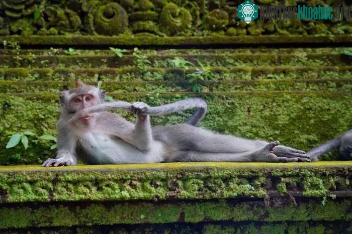 Chàng trai cô đơn giữa rừng nhiệt đới.