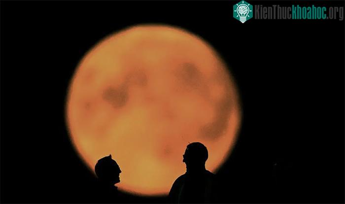 Siêu trăng xanh tại khán đài trận đấu cricket T20 giữa Anh và New Zealand