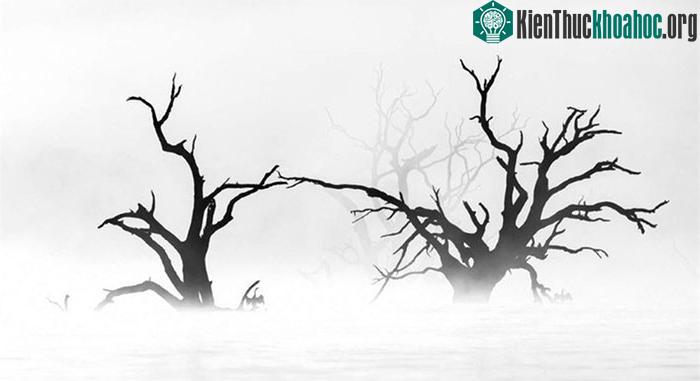 Tác phẩm "Buổi sáng yên bình" của Cheng Kang.